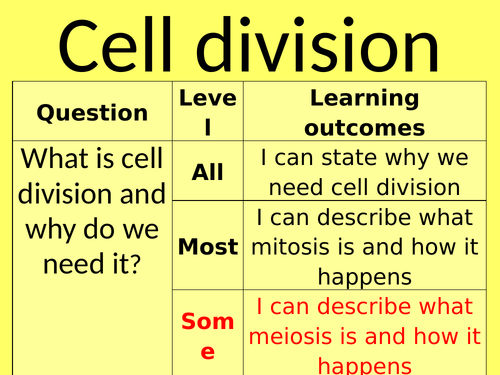 DNA structure, inheritance and cell division (mitosis and meiosis) 3 lesson bundle