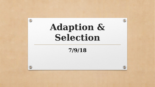 Adaption & Selection