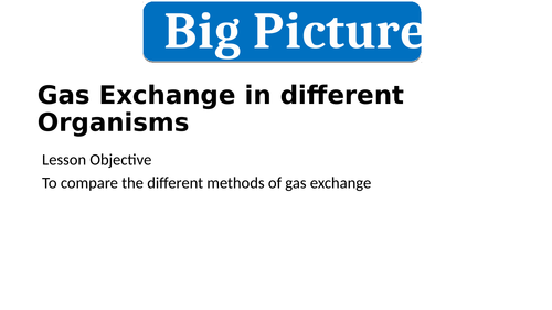 Gas Exchange in different Organisms