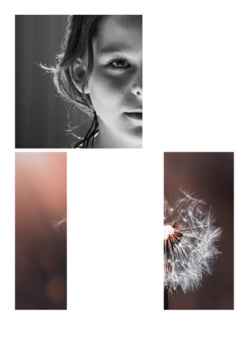 Complete the Picture