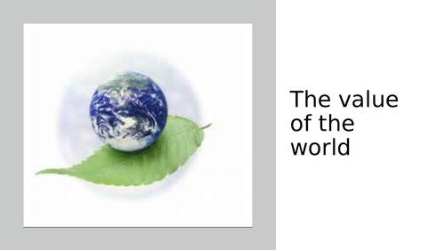 The value of the world