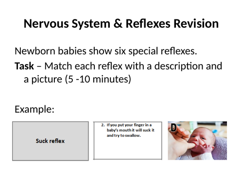Nervous system and Reflexes GCSE/iGCSE 3 x activities. Revision lesson or activities for teaching.