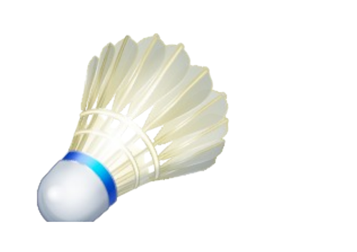 French  year 6 transition day booklet and activities