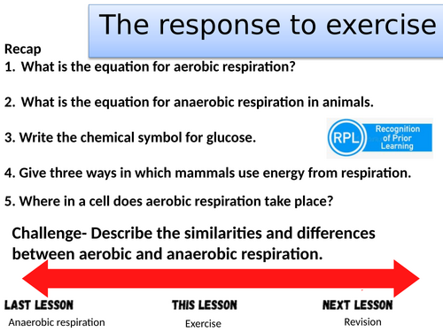 Topic B4 The response to exercise- AQA combined science trilogy/separate biology