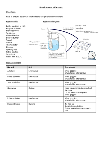 Enzymes required practical model answer AQA 9-1