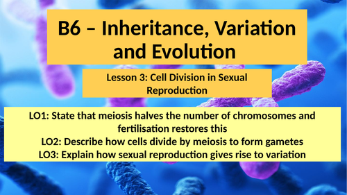 AQA GCSE Biology (Triple) B6 Inheritance L3 Cell Division in Sexual Reproduction (Meiosis)