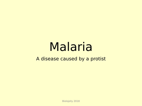 Diseases caused by protists - malaria lesson