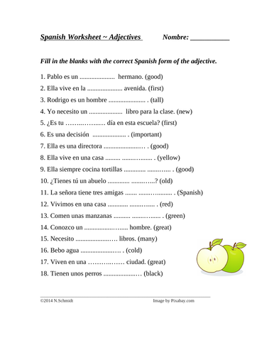 Spanish Adjective Agreement Worksheet (mucho, primero, bueno, tercero)