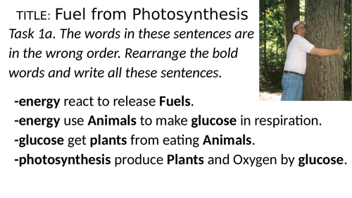 Fuel from Photosynthesis, Key Stage 3