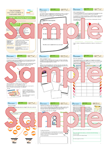 City & Guilds Unit 301 - Planning For Progression - Workbook/Final Assignment