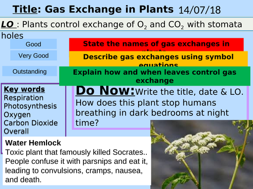 Gas Exchange in Plants, lessons