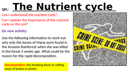 The nutrient cycle | Teaching Resources