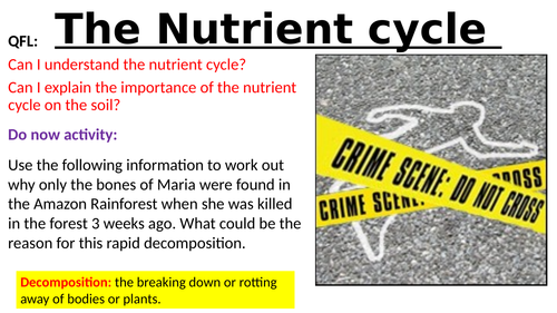 The nutrient cycle
