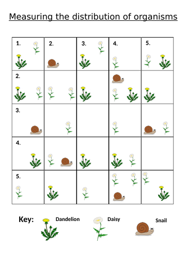 NEW AQA GCSE Trilogy (2016) Biology - Distribution of Organisms