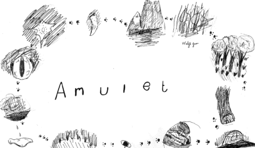 Amulet by Ted Hughes, poetry unit
