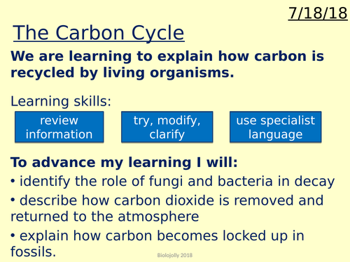Carbon cycle lesson