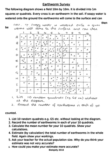 Quadrats - earthworm survey worksheet