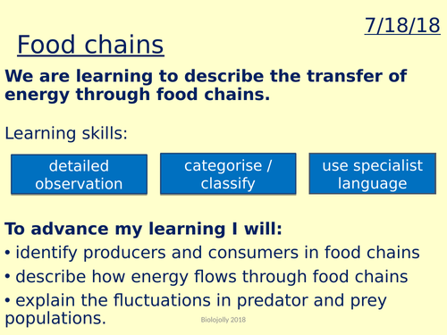 Food chains and webs lesson