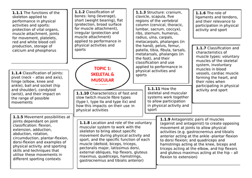 GCSE PE Revision Map sheets for Component 1 (New Spec 2016)