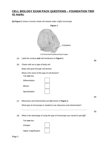 Gcse Biology Cell Biology Exam Question And Answer Packs Ht Ft Teaching Resources