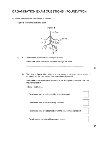 GCSE Biology - Organisation Exam Packs x3 for both FT and HT