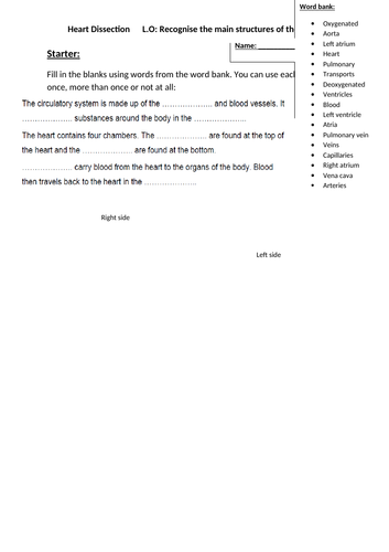 Heart dissection lesson