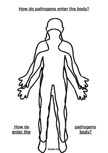 Body blank to write on