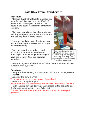 DNA From Strawberries (Extraction Procedure & Follow Up Questions)