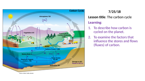 Carbon cycle – A level