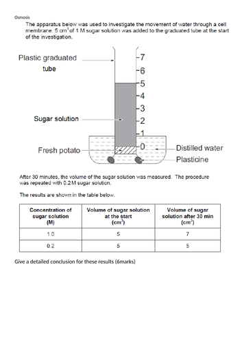 Extended writing question with marking grid- Osmosis