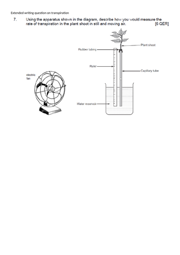 Extended writing question and marking grid - Transpiration | Teaching ...