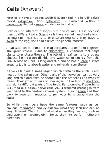 Cells DART differentiated worksheets