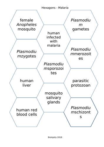 Malaria - SOLO Hexagons