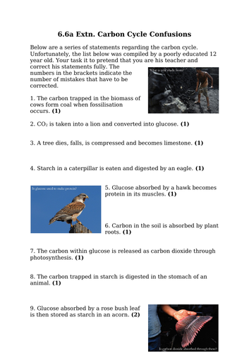 The Carbon Cycle (Cut-And-Stick & Extension Activity) (GCSE)