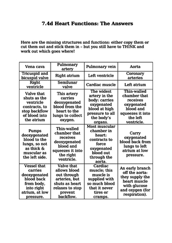 The Heart - Structure & Function w/ Dissection (GCSE & 6th Form)