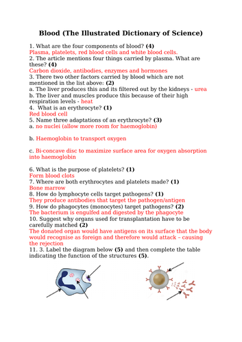 The Structure & Function Of Blood And Blood Cells (GCSE)