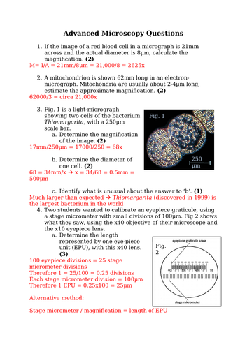 Microscopy (A Level & IB)