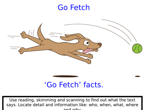 KS1 & KS2Guidede Reading Skills Posters