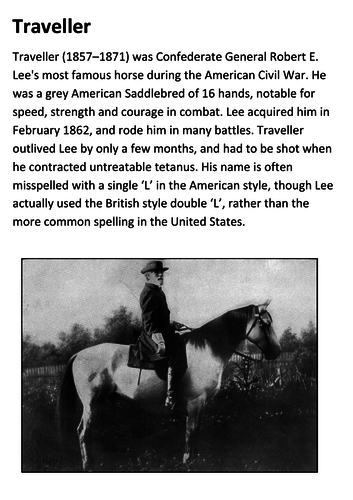 Traveller General Robert E. Lee's Horse Handout