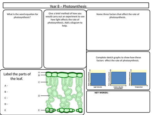 knowledge organiser for year 8 photosynthesis and speed
