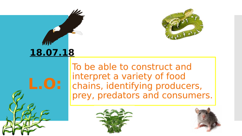 Grouping Living Things- Year 4