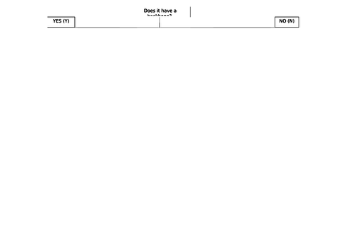 Animals and Living Things- Classification Lesson