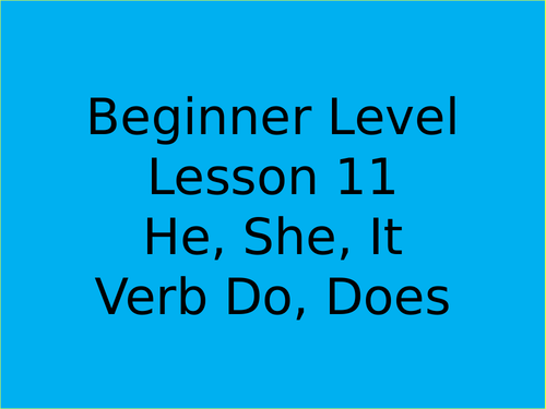He, She, It, verbs do and does for beginners