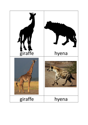 African Animals Silhouette cards