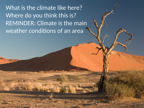 Desert climate and design your own animal or plant