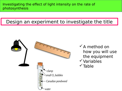New GCSE - Biology practical planning