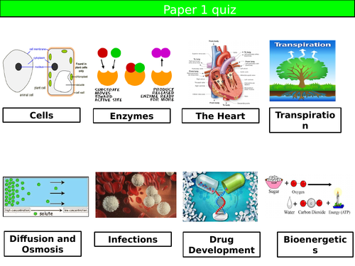 GCSE Biology: Paper 1 overview quiz