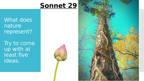 Sonnet 29 (Love and Relationships)