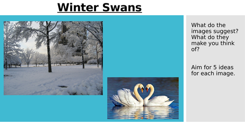 Winter Swans (Love and Relationships)