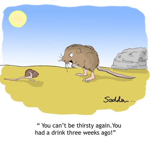 "You can`t be thirsty again. You had a drink three weeks ago!" Funny Biology Cartoon